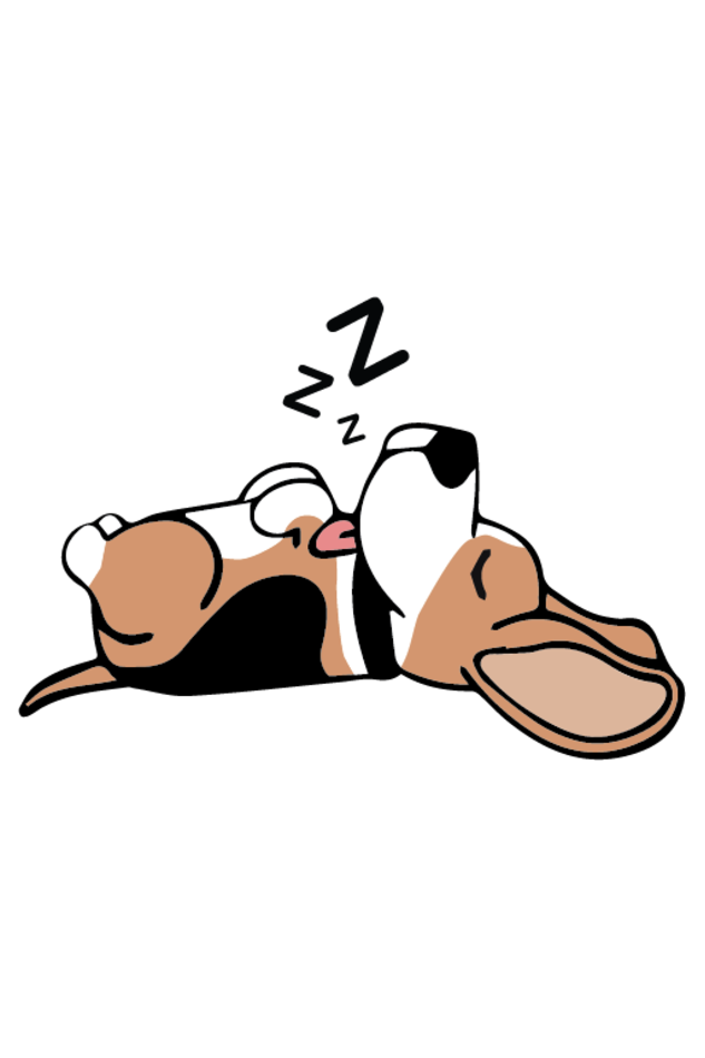 Kids Unisex Sweatshirt - Beagle